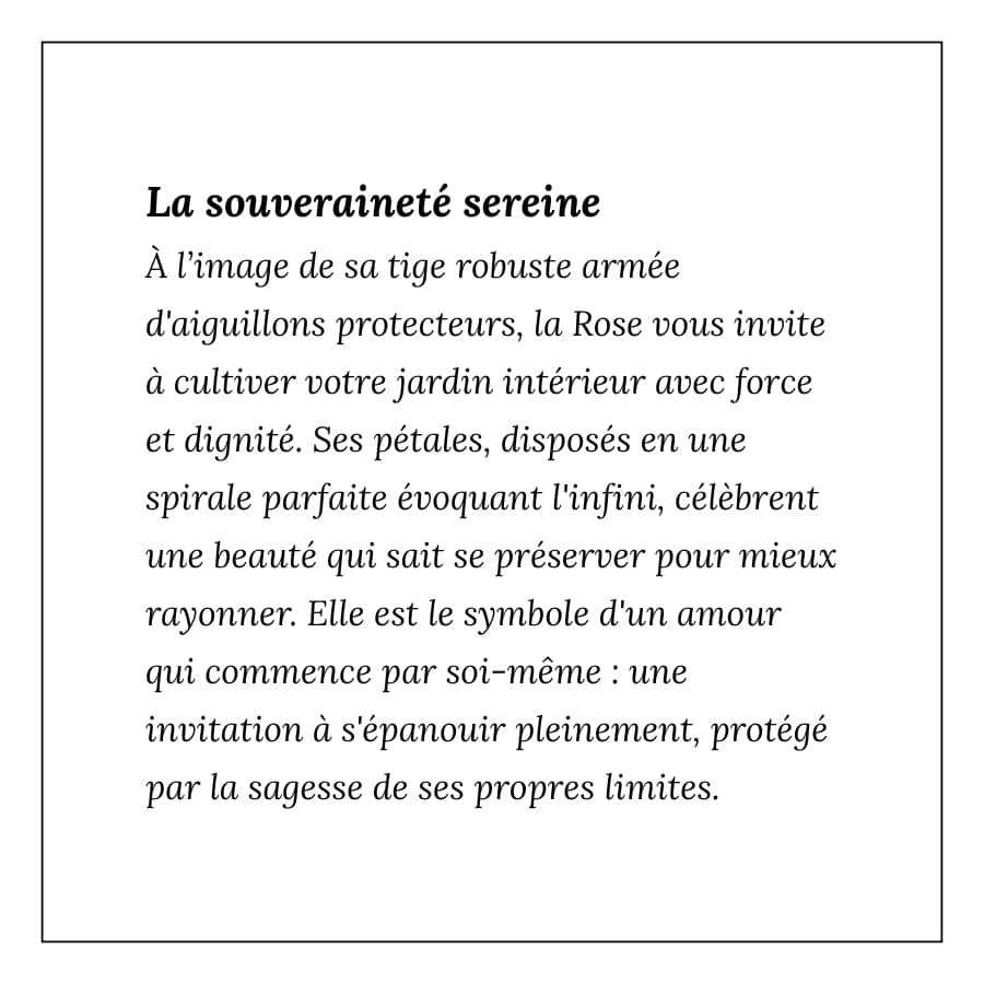 Rose Héritage - Rond n°3/3 – Image 5
