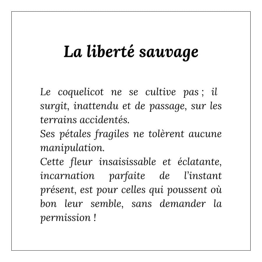 Coquelicot - Ovale n°05/10 – Image 7